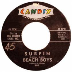 The Beach Boys : Surfin'